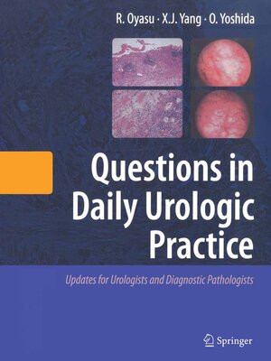cover image of Questions in Daily Urologic Practice